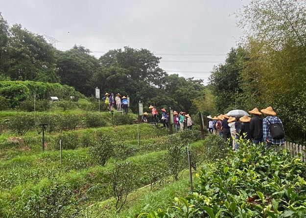 2024年度志工館際交流活動-台北市鐵觀音包種茶研發推廣中心